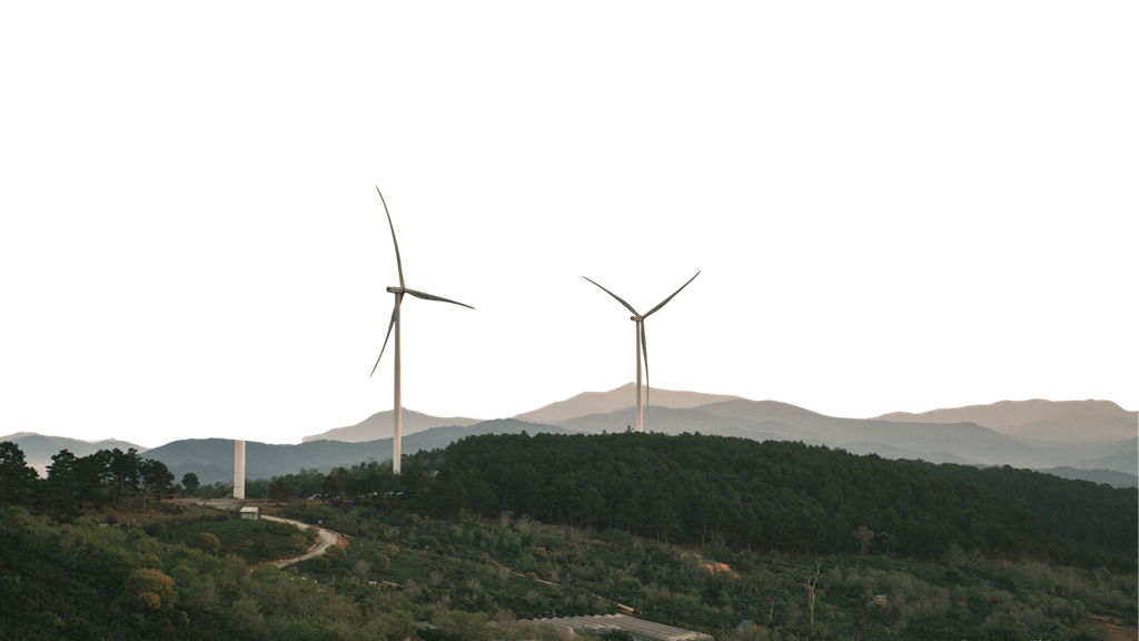 ReWeave 360 Mountain Forest Landscape